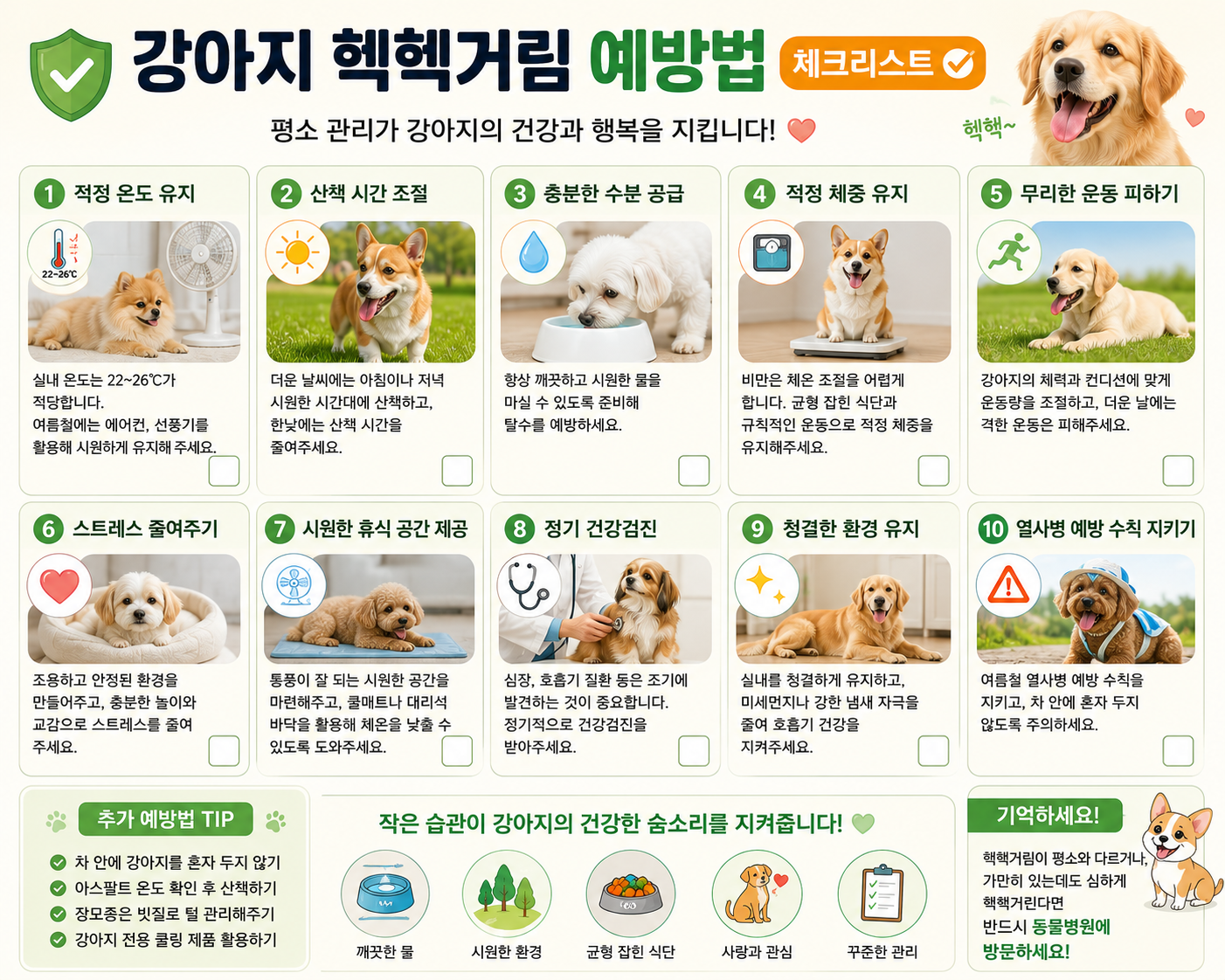 강아지 헥헥거림 예방 체크리스트 이미지