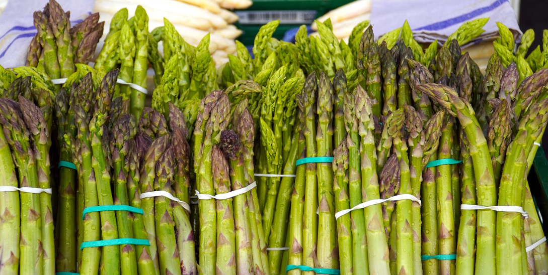 아스파라거스_주의사항