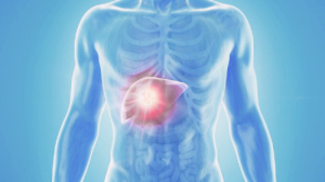 간이 하는일&amp;#44; 간질환 종류 증상&amp;#44; 간 건강을 지키는 방법