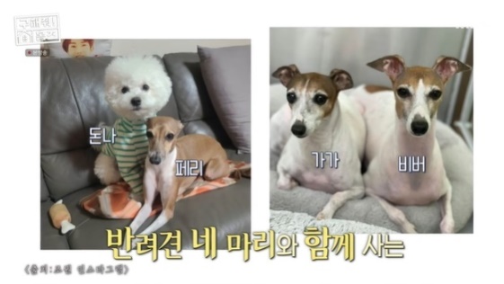 조권