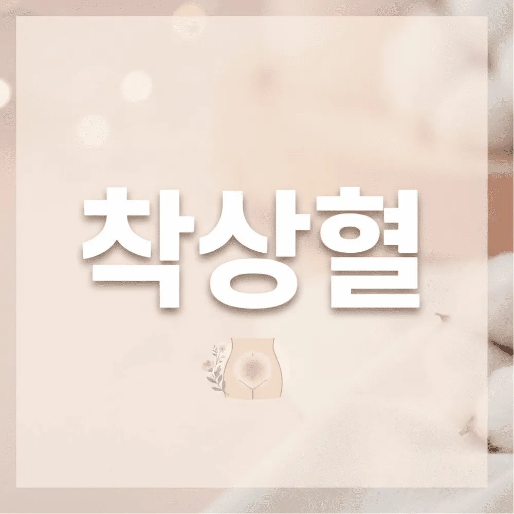 착상혈