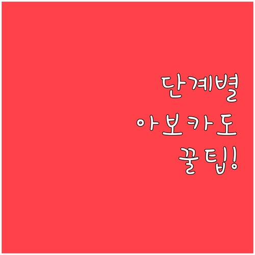 아보카도 보관 단계별 방법 덜 익음 ..