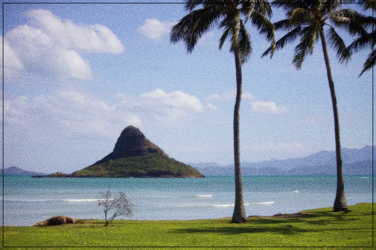 중학생 추천 도서 - 알로하, 나의 엄마들