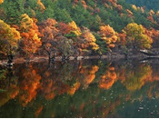 단풍여행 1박2일 버스 단풍구경