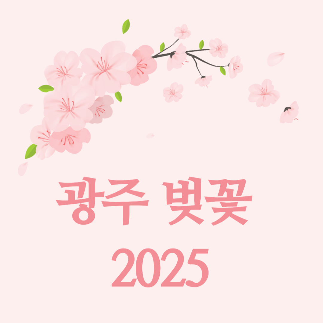 광주 벚꽃 개화시기 2025|만개시기 & 명소, 촬영 스팟 총정리