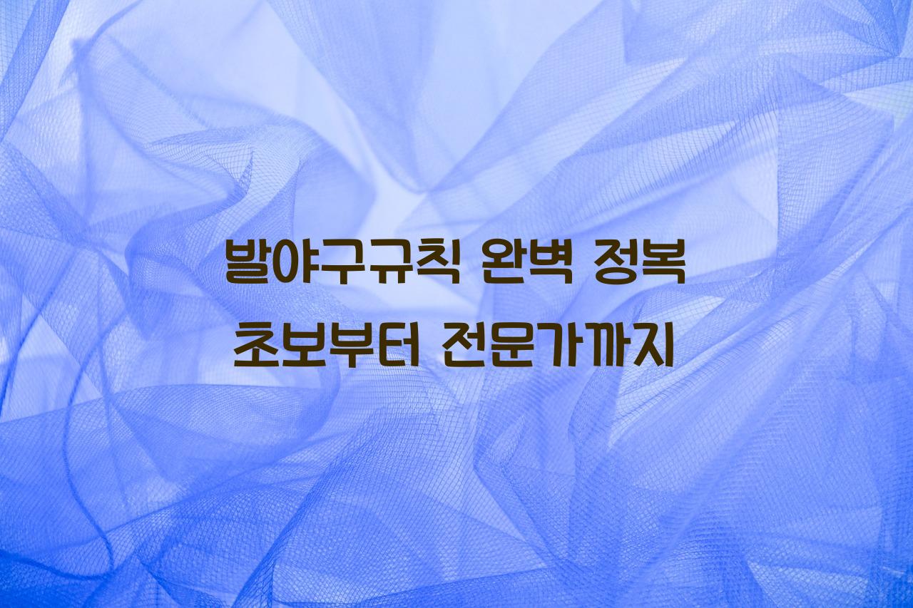 발야구규칙