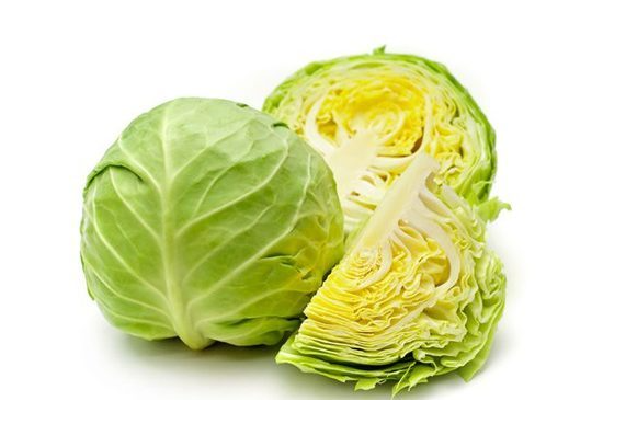 양배추-영양소