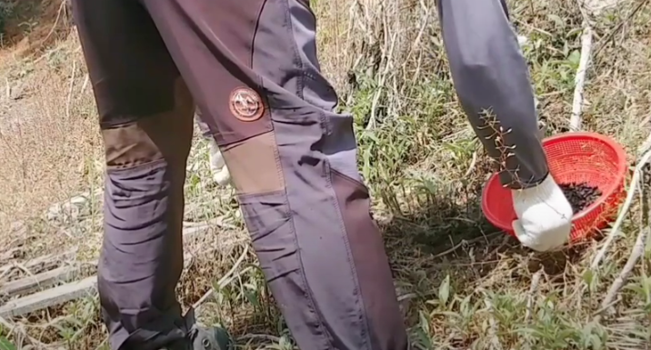 검정콩 파종시기와 거름 주는 방법 꿀팁 1