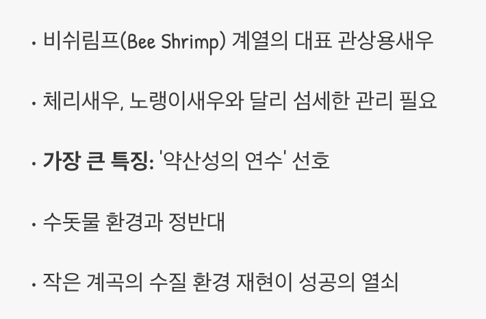 물생활의 끝판왕? CRS새우