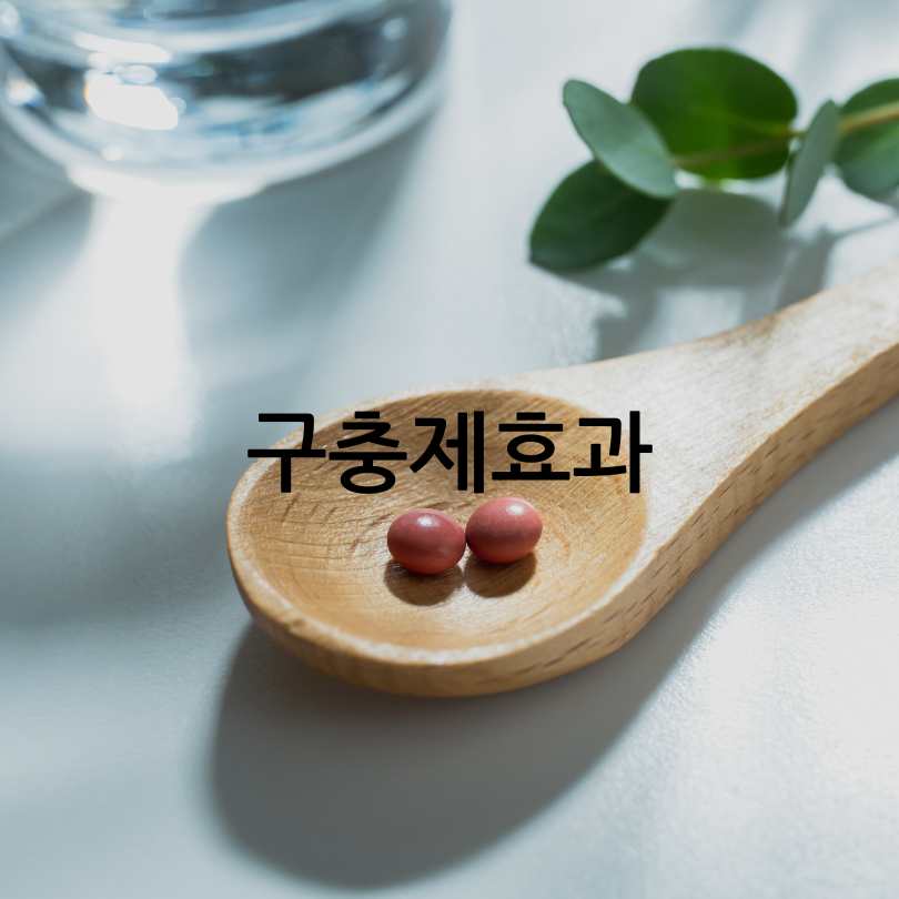 구충제복용법