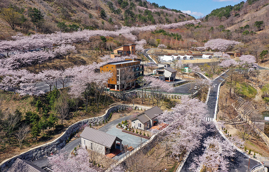 공공 우수야영장