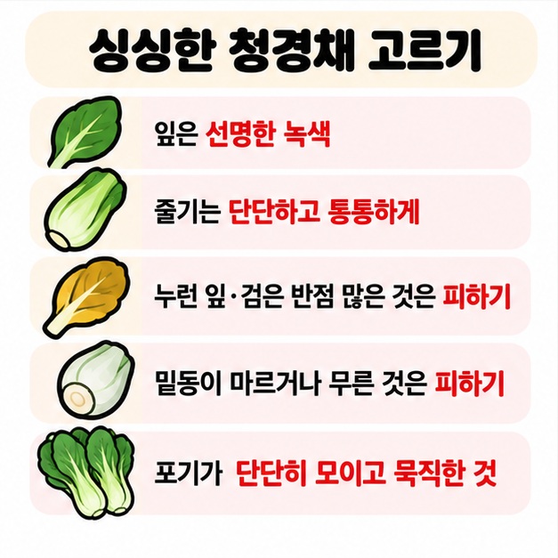 선명한 녹색 잎 단단하고 통통한 줄기 마르지 않은 밑동을 싱싱한 청경채 고르는 기준으로 보여주는 카드