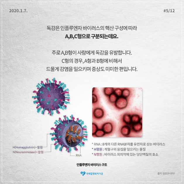 A형 독감 전염&#44; 한번 걸리면&#44; 수액 치료