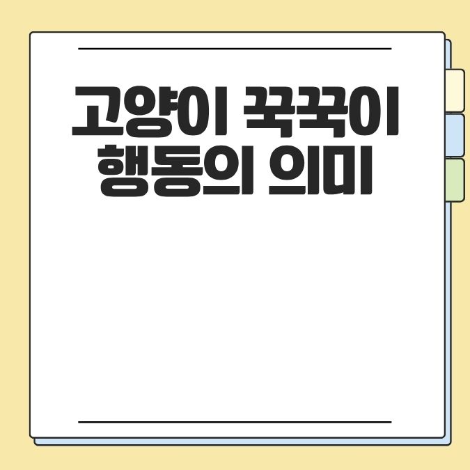 고양이 꾹꾹이 행동의 의미