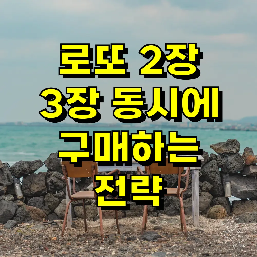 로또 2장 3장 동시에 구매하는 전략