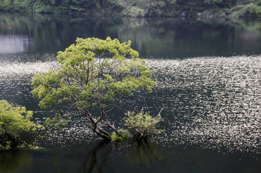 대전 가볼만한곳 베스트10