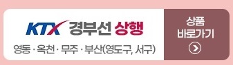 디지털주민증으로 KTX 할인받기