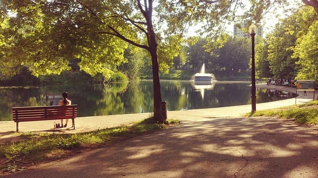 시편이 주는 내면 평화의 언어 : 마음의 고요를 배우다
