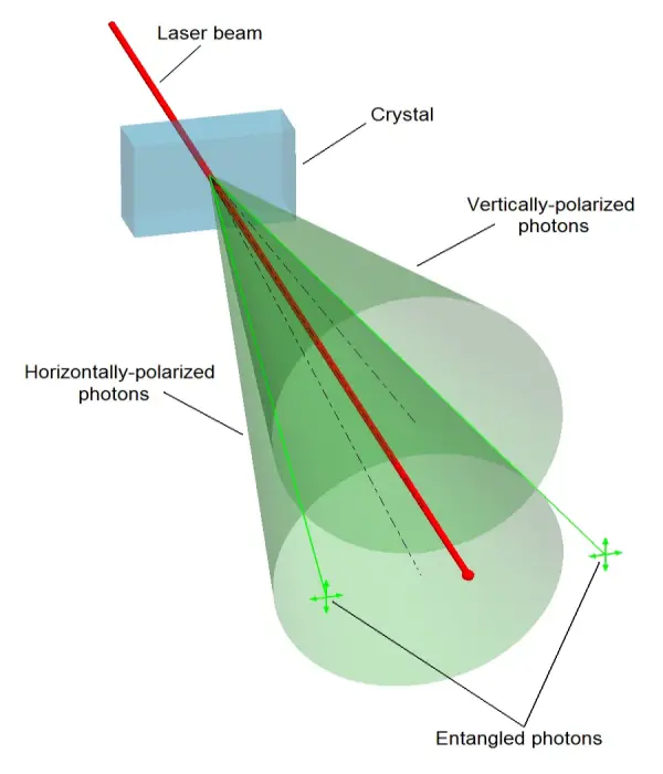 Spontaneous parametric down-conversion process can split photons into type II photon pairs with mutually perpendicular polarization.