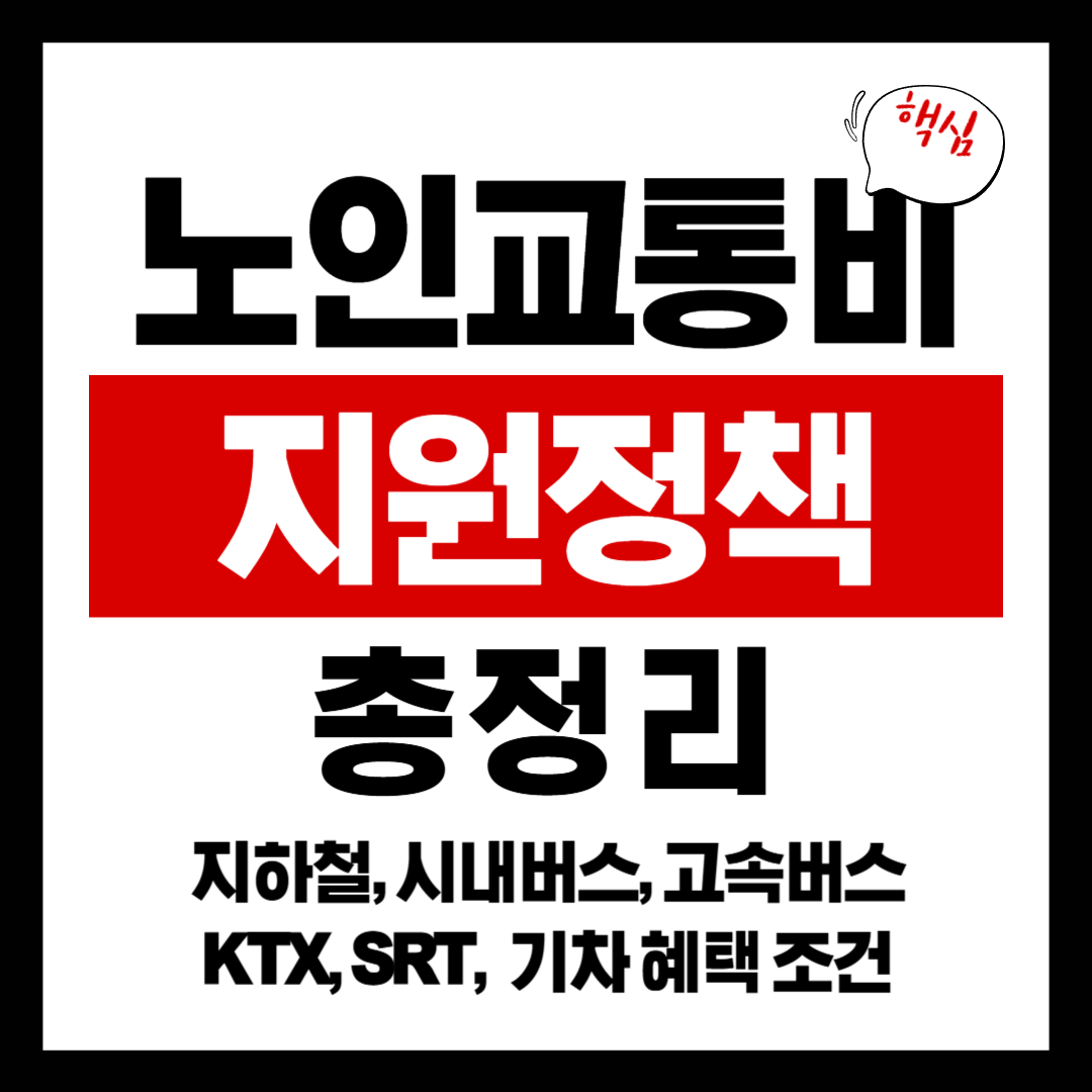 노인 교통비 지원 총정리 (2025 최신혜택 포함)