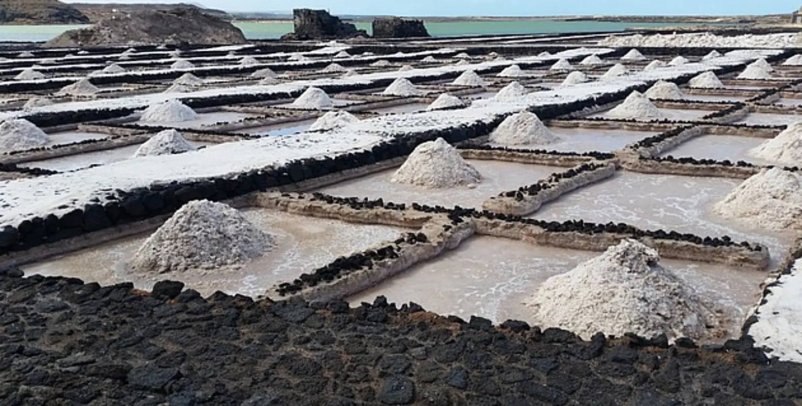 나트륨의 중요성