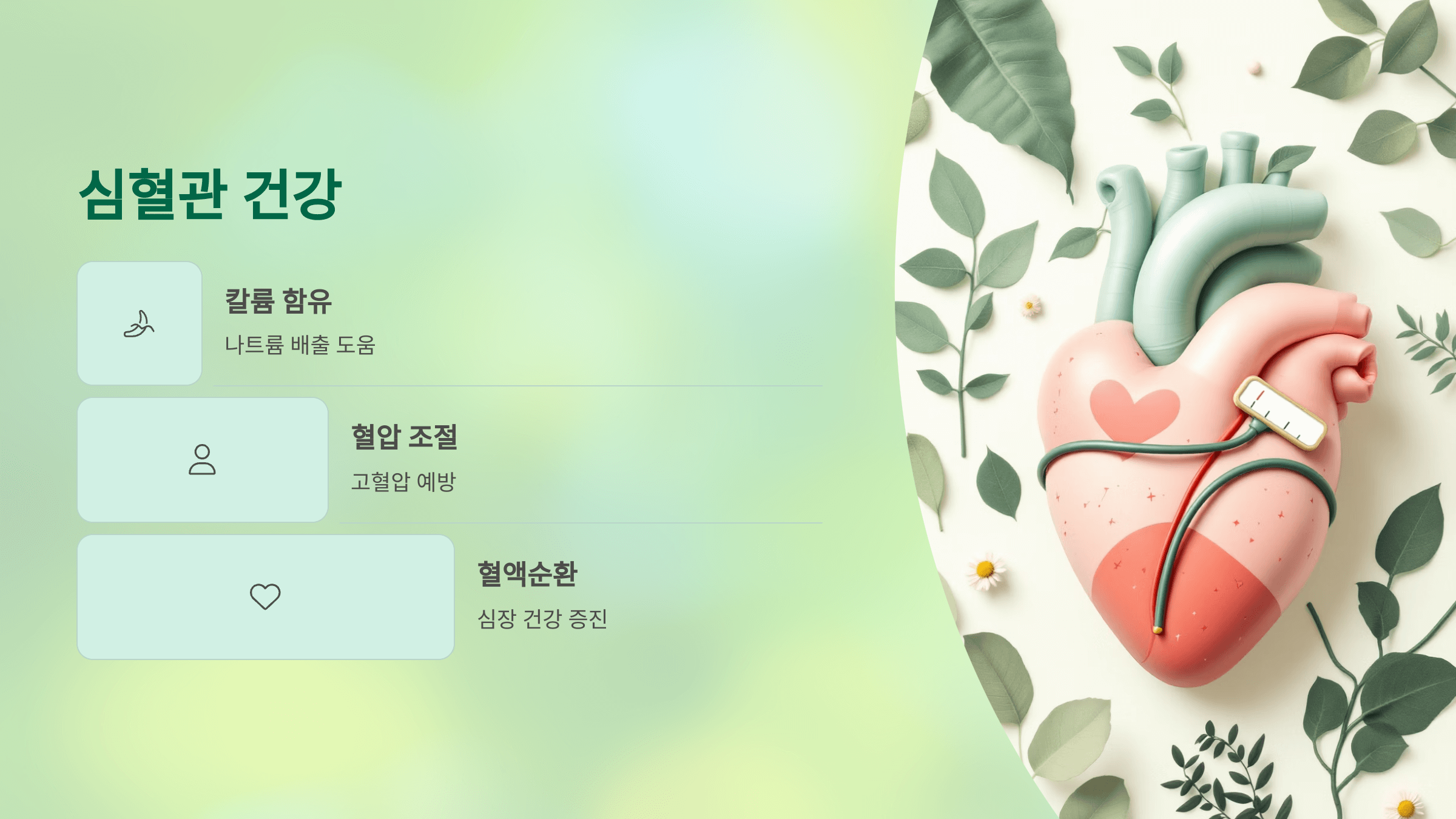 키위 사진입니다.