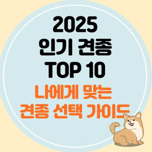 2025년 인기 견종과 나에게 맞는 반려견 선택 가이드