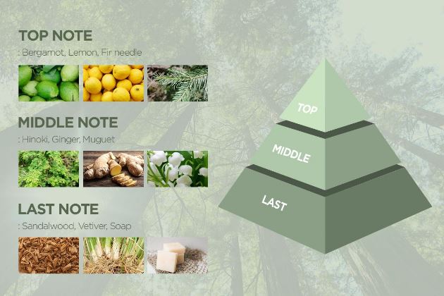 에센셜 오일 노트 구조