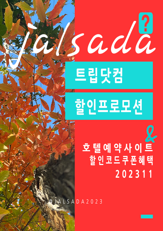 트립닷컴 11월 프로모션코드 국내호텔 서울, 부산, 오사카, 후쿠오카 온천여행 호텔예약