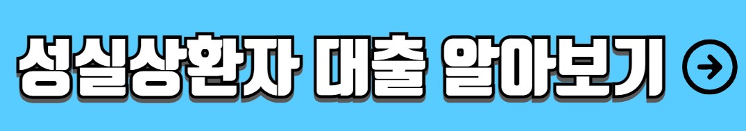 신용불량자 대출가능한곳 정부지원