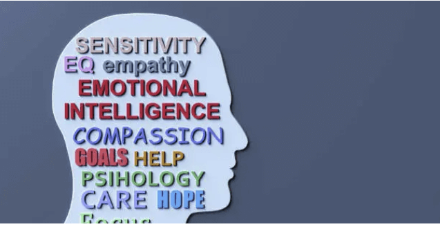 HSP(Highly Sensitive Person) 고감각 성향&amp;#44; 제대로 알기 &amp; 셀프 테스트