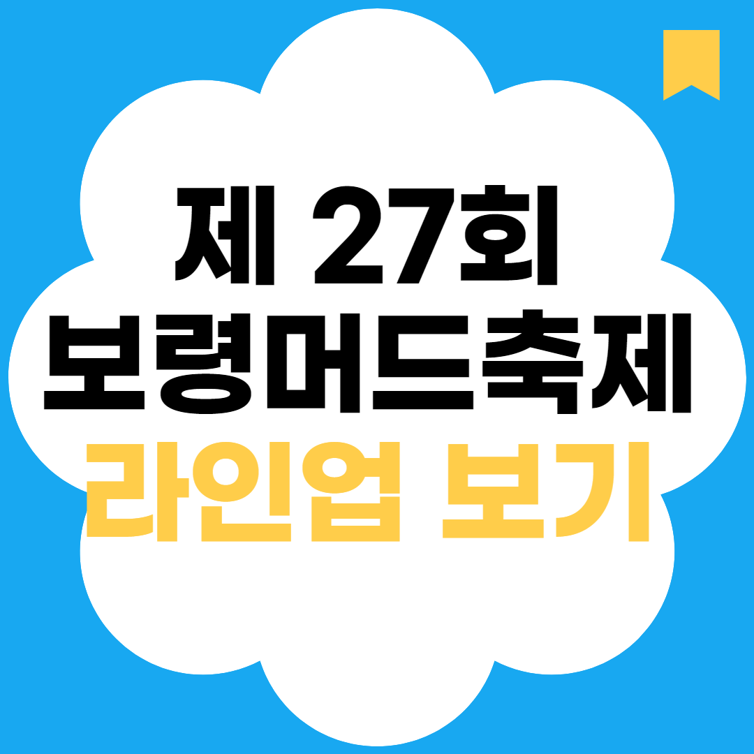 2024년 보령머드축제