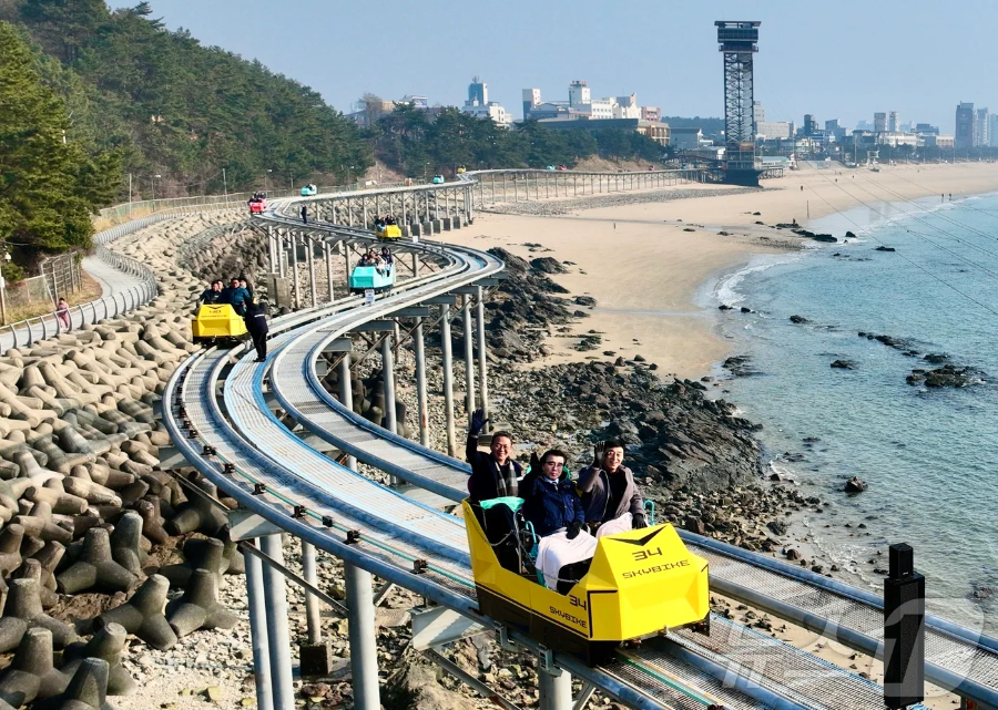 2026 보령 가볼만한곳