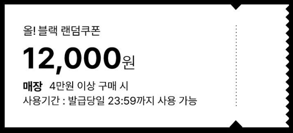 올리브영 블랙프라이데이