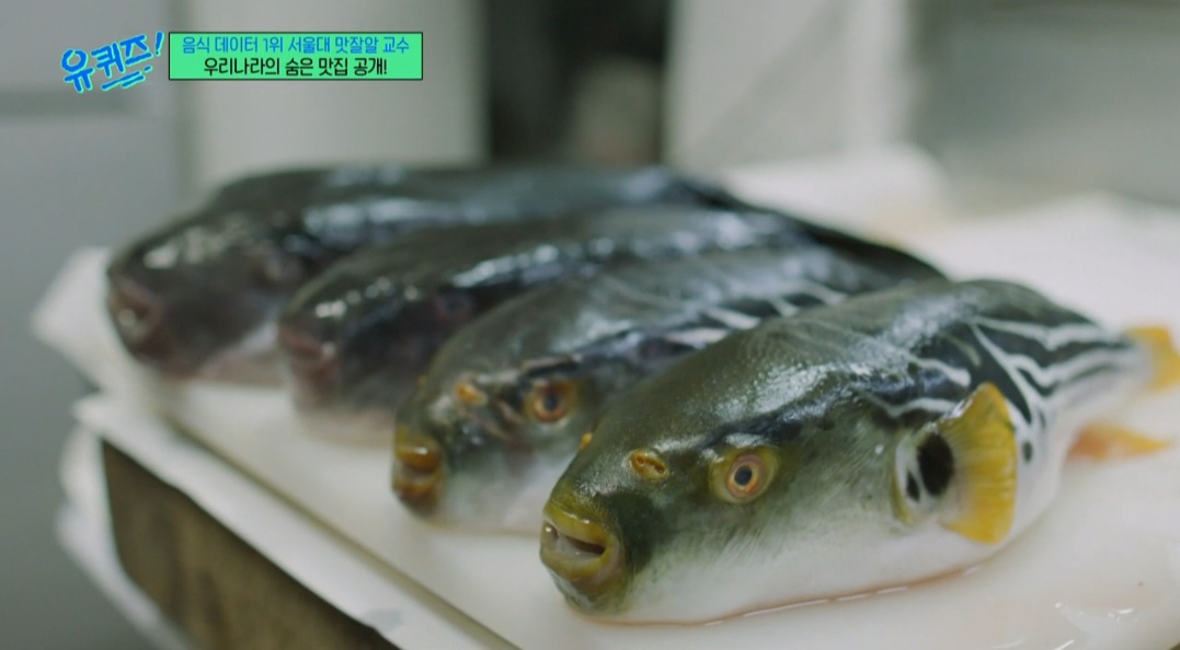 유퀴즈 서울대 맛잘알 교수 부산 복국 맛집 위치 및 정보