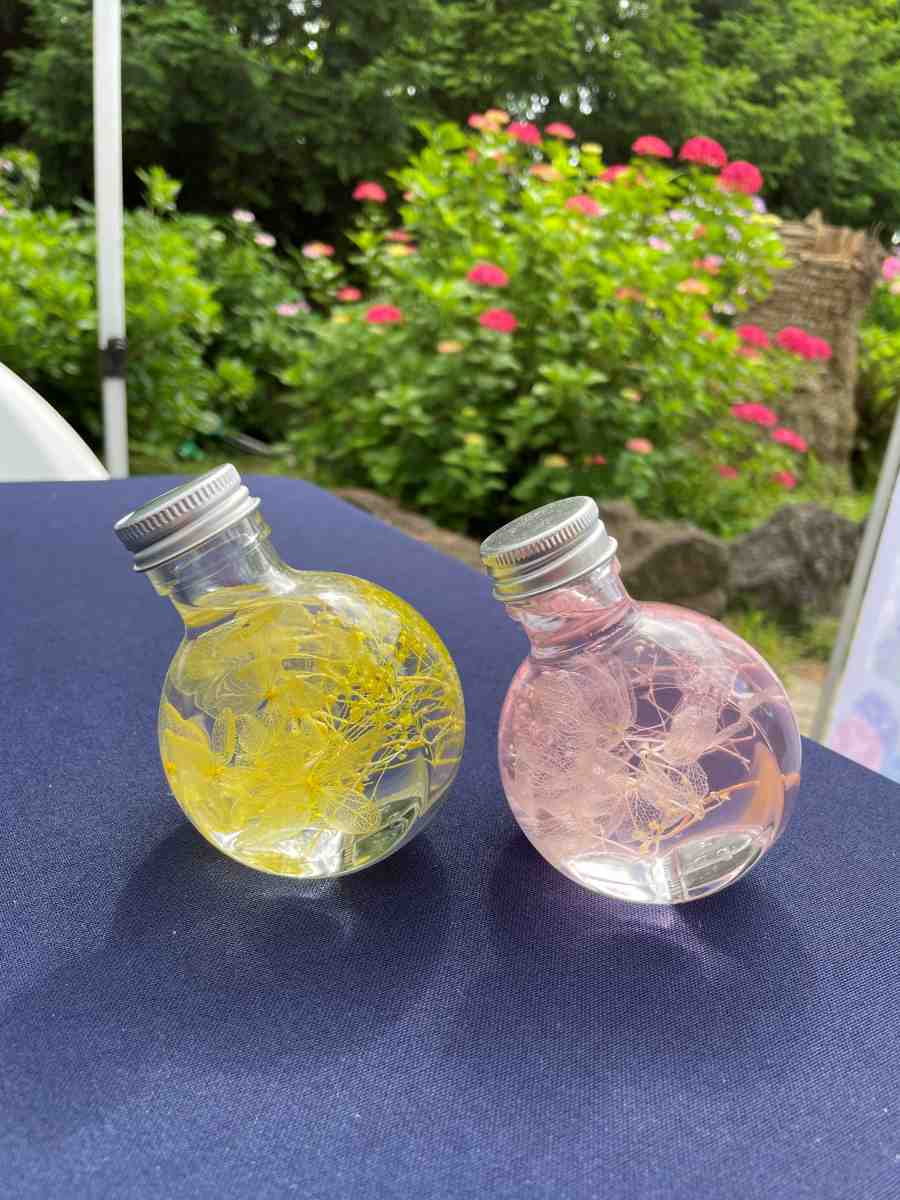 제주 한림공원 수국축제