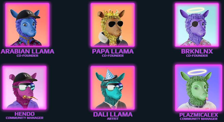 레이지 라마 (Lazy Llamas) 프로젝트 팀