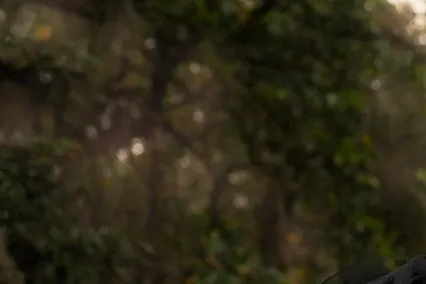 출산가구 혜택 주거비 지원