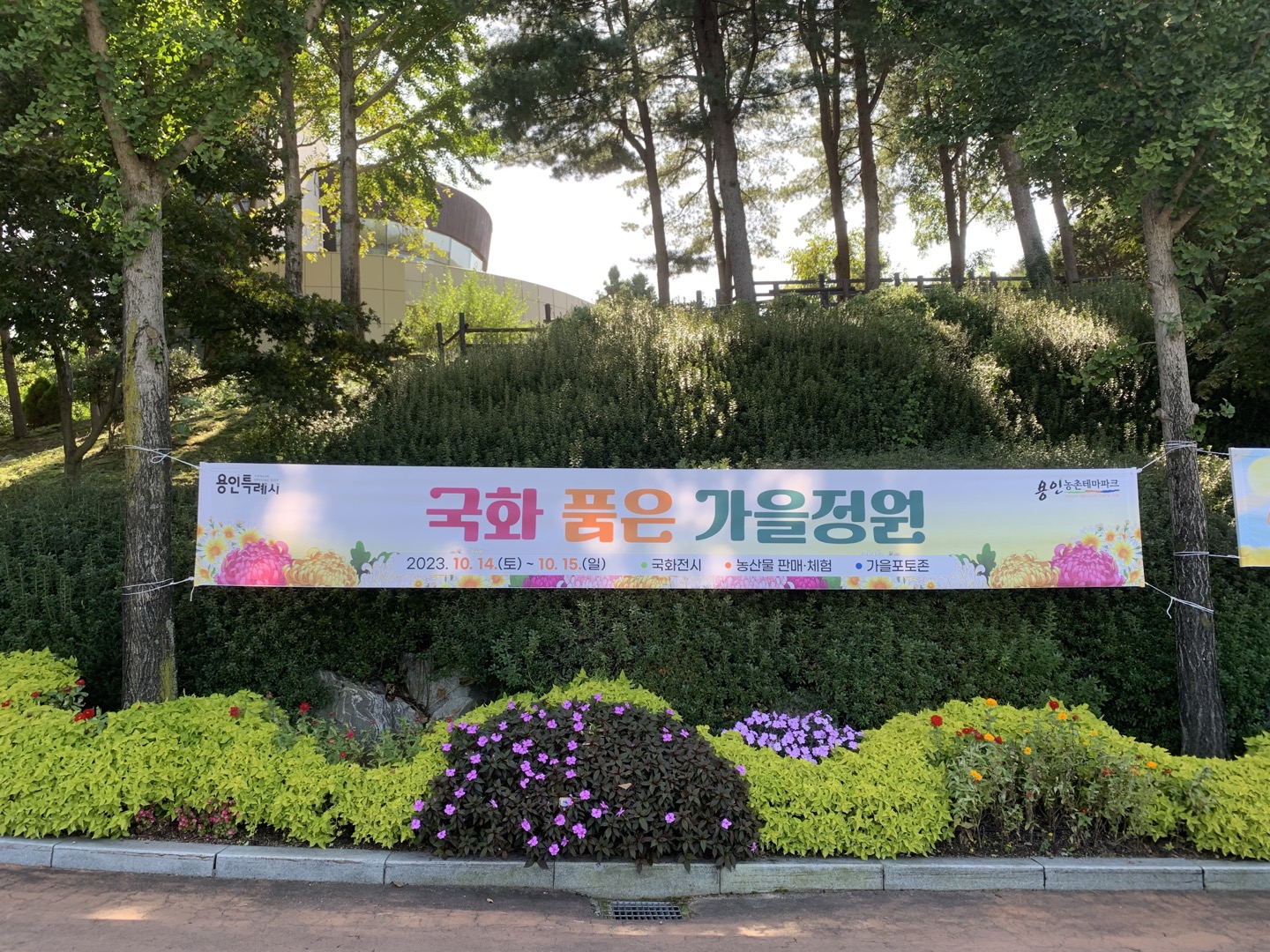 용인 농촌 테마파크 국화축제