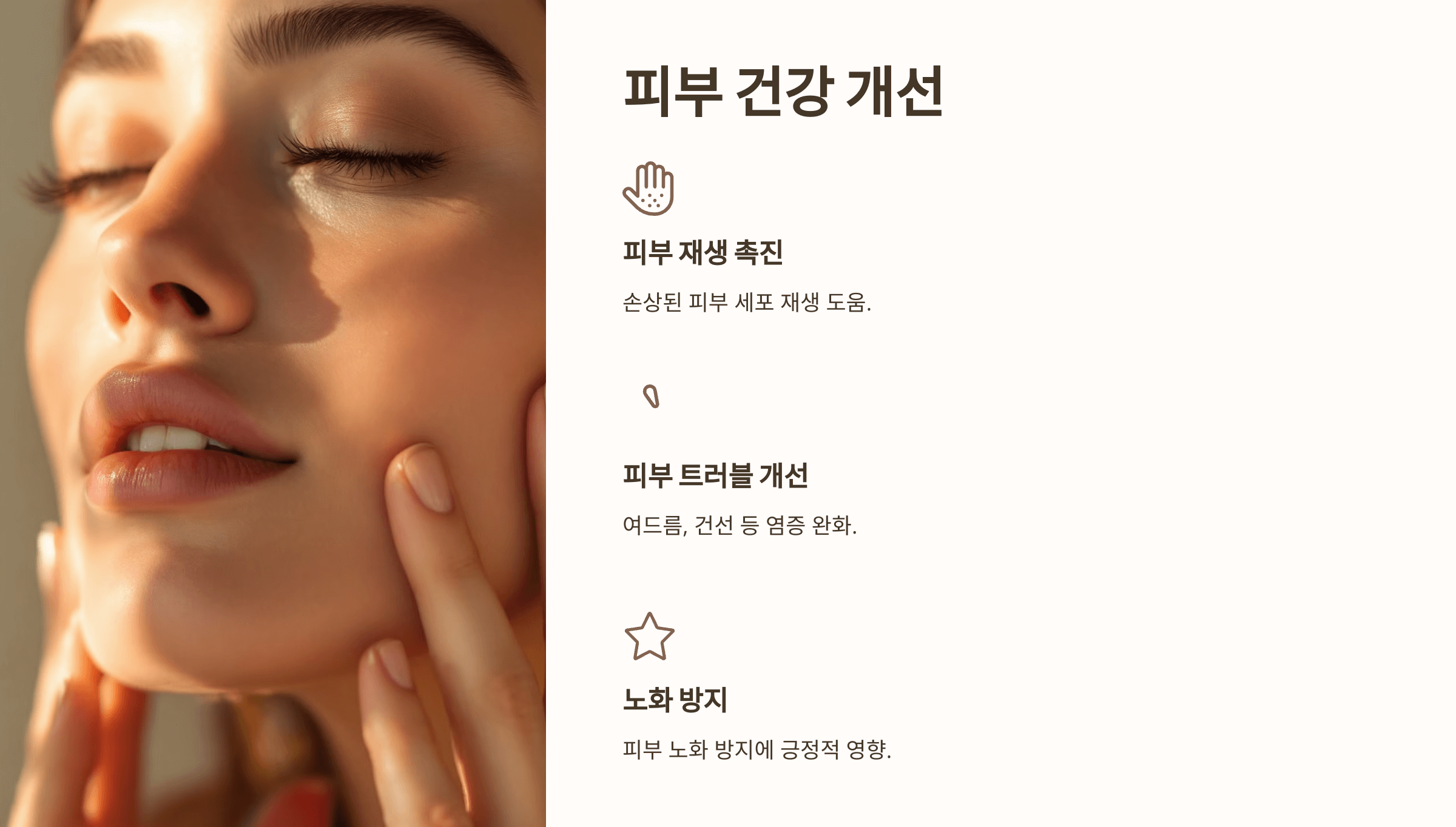 엉겅퀴와 관련된 사진입니다.