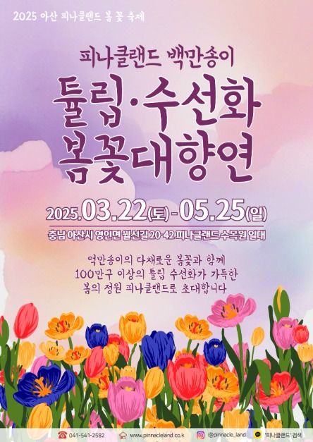 2025 피나클랜드 백만송이 튤립&middot;수선화 봄꽃대향연 포스터