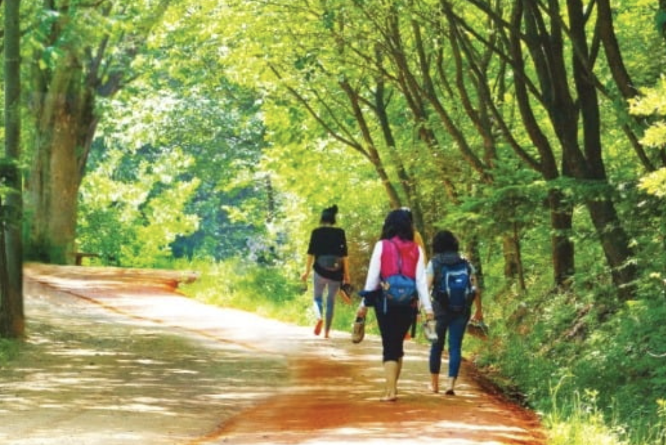 계족산 황톳길 주요 정보