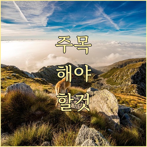 알뜰폰도 OK! 차상위계층 통신비 할..