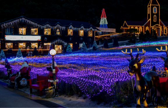 라벤더축제 행사