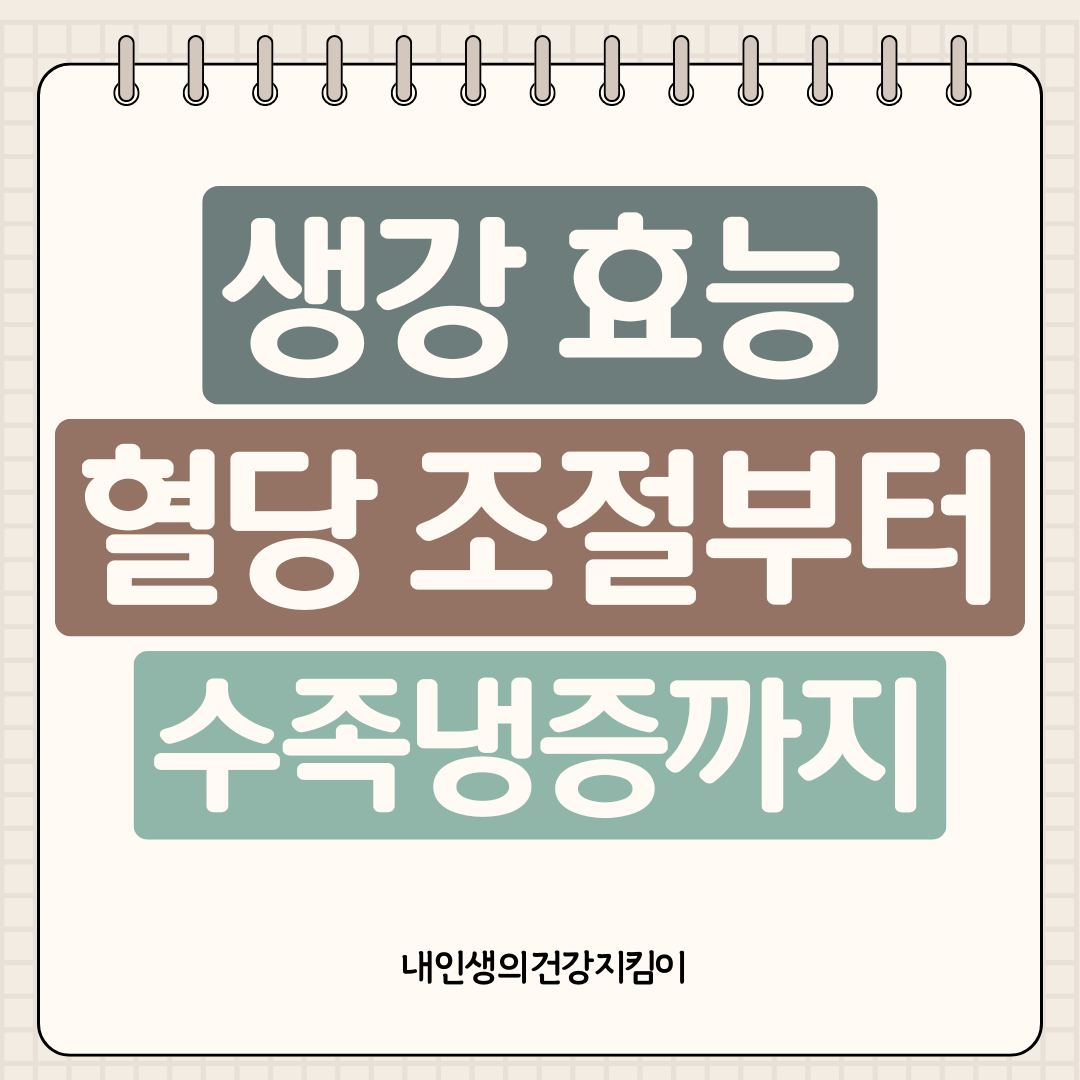 생강 효능 8가지 혈당 조절부터 수족냉증까지, 하루 2g이 답이다