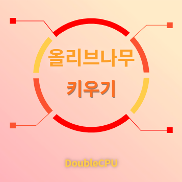 올리브나무 키우기