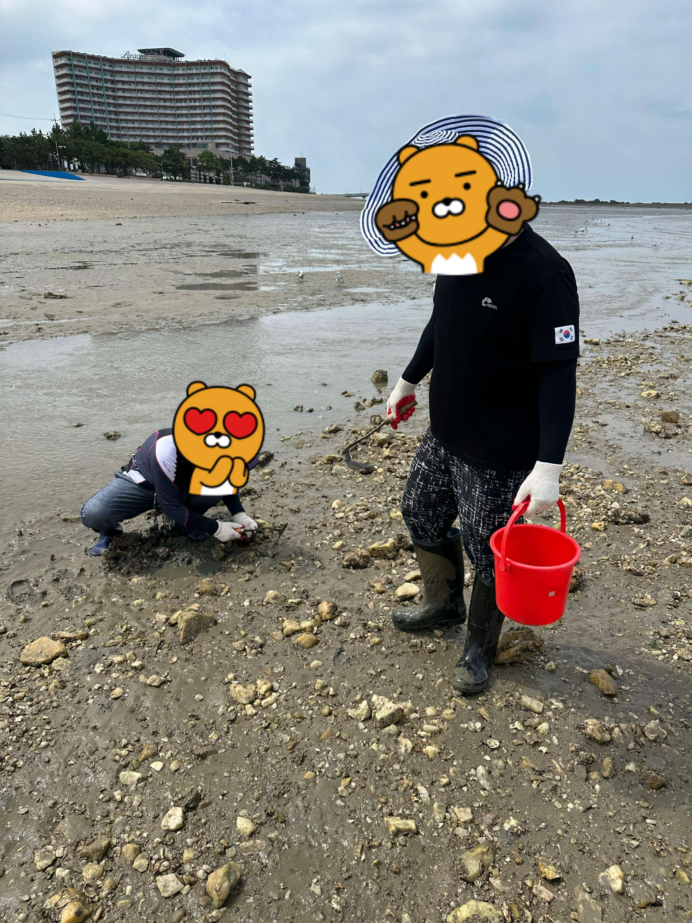 Travel Review 2: Boryeong, Daecheon, and Muchangpo in Chungnam, Korea (Family Travel Destination Recommendation, Muchangpo Beache Palace, Mudflat Experience, Sky Bike Price &amp; Duration, Daecheon Restaurants &amp; Lunch Spots, Daecheon Beach, Stunning Sunset, Closed Sanghwawon, Daecheon Port Fish Market, Useong Fisheries, Suyeonho Fisheries, Muchangpo Beache Palace, Ocean View, Lodging with Kitchen Facilities, Muchangpo Pension)