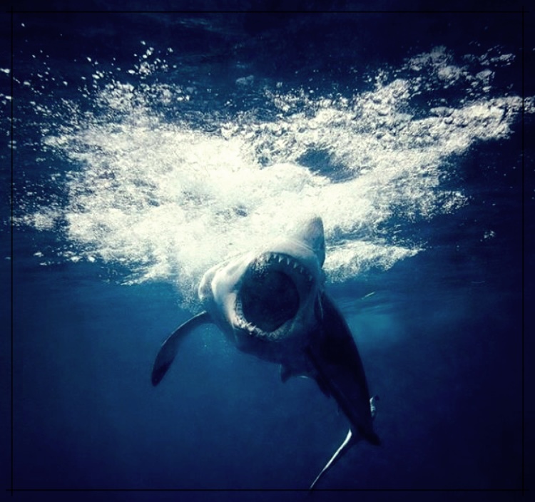 심해 공포증 테스트 방법