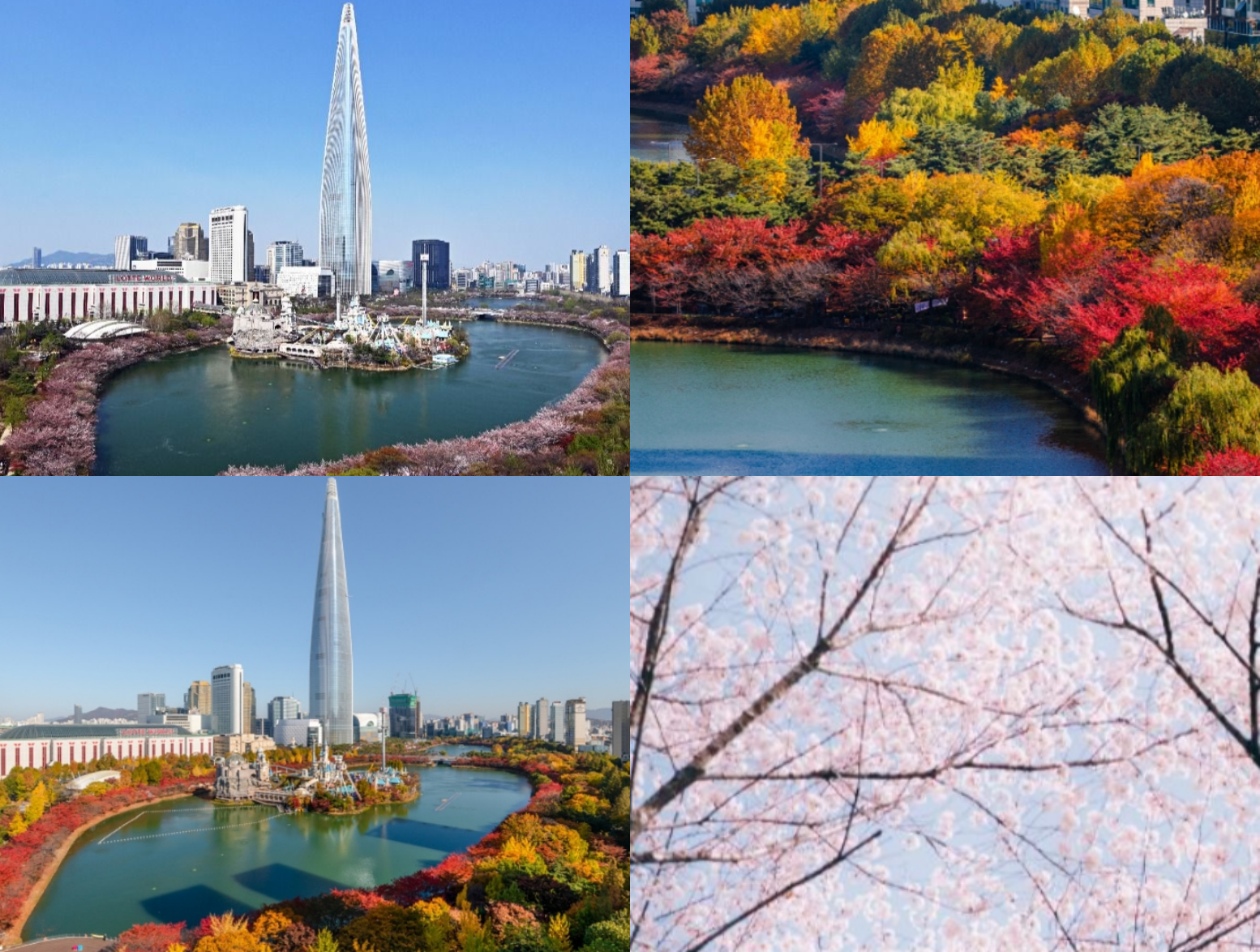 석촌호수 벚꽃 축제 일정