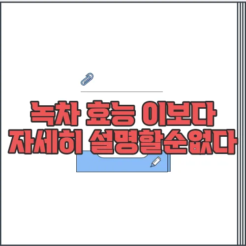 녹차 효능 이보다 자세히 설명할순없다